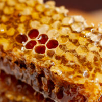 ingredient cire abeille