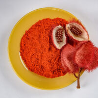 ingredient poudre urucum