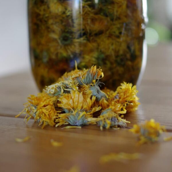 baume amande douce & calendula bio